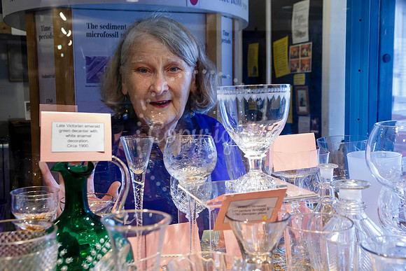 Ann Kent has a new exhibition in the community cabinet of Diss M