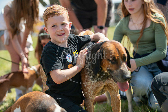 SPF Holbecks Park, Hadleigh, Suffolk186th Hadleigh Show. Pictur