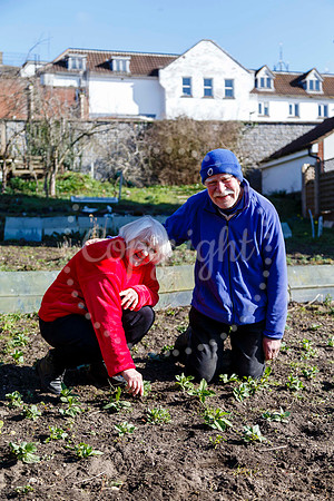 Barclays Bank Allotments