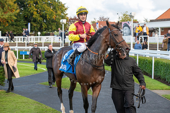 Newmarket Rowley Mile racecourseDubai Future Champions’ weeke