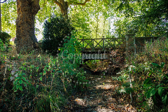 One of the streams which feeds the River Dove in Hoxne under Gol