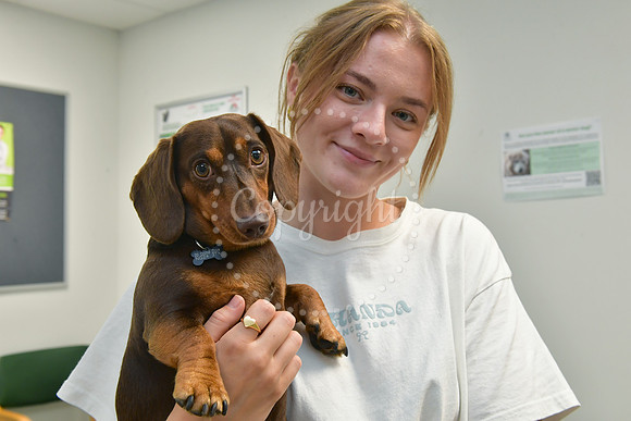 Pet of the Year, competition winners