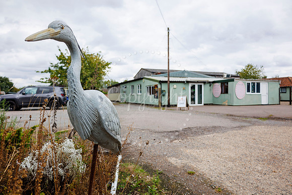 Bird Banksy