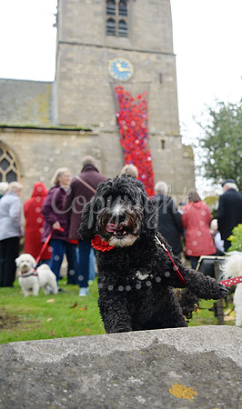 St Giles poppies