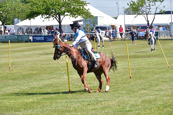 Nottinghamshire County Show