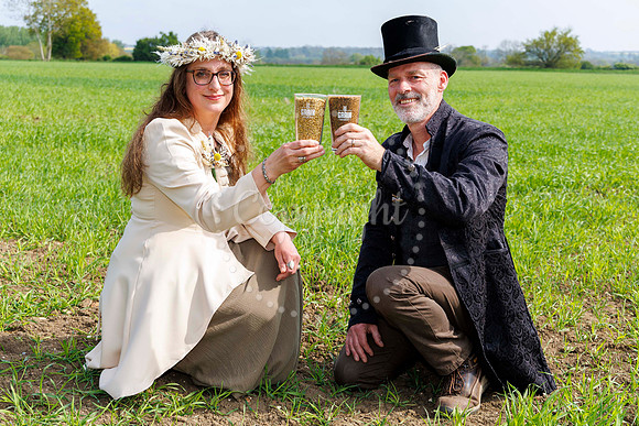 Grain Brewery Barley Queen