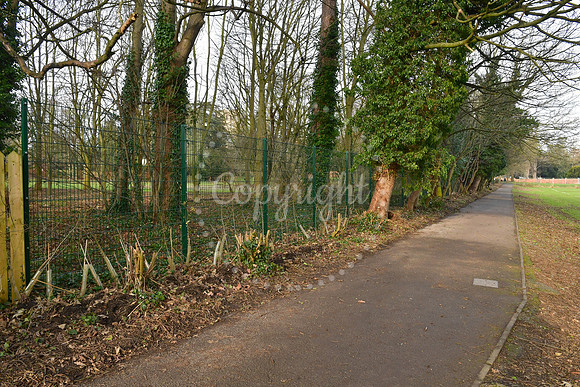 Minster field hedge
