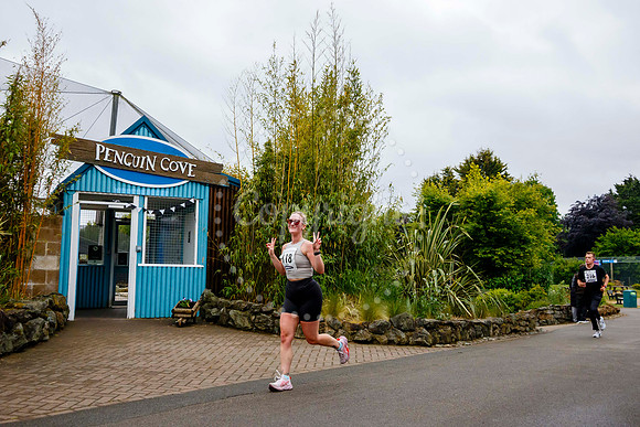 Run Banham Zoo 5K Race