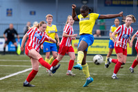 AFC Sudbury, Brundon Lane, Sudbury Football - AFC Sudbury hosti