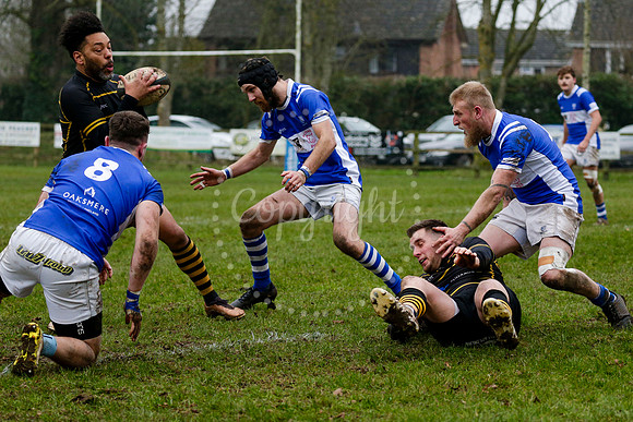 Rugby action from Diss RFC vs Ipswich.