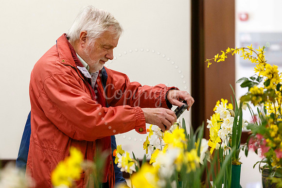 Diss and District Horticultural Society Spring Flower Show
