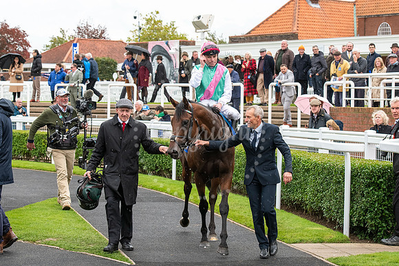 Newmarket Rowley Mile racecourseDubai Future Champions’ weeke