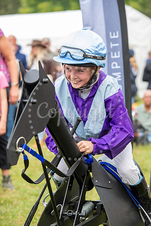NewmarketNewmarket Stables open day and events on The Severals.
