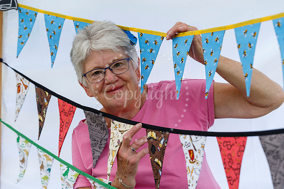Roydon Summer Fair