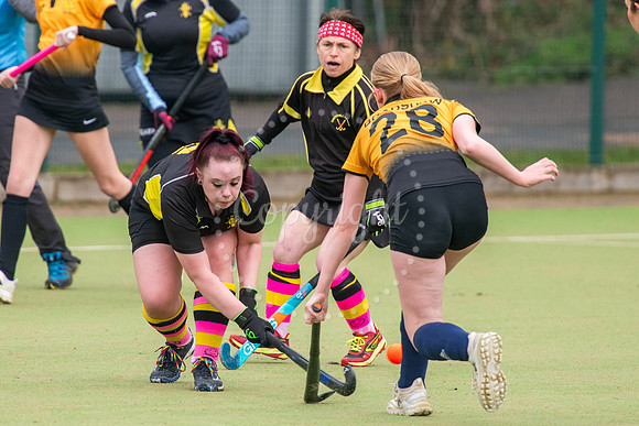 Haverhill Leisure Centre, Ehringshausen Way, Haverhill  Hockey