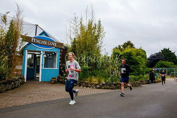 Run Banham Zoo 5K Race