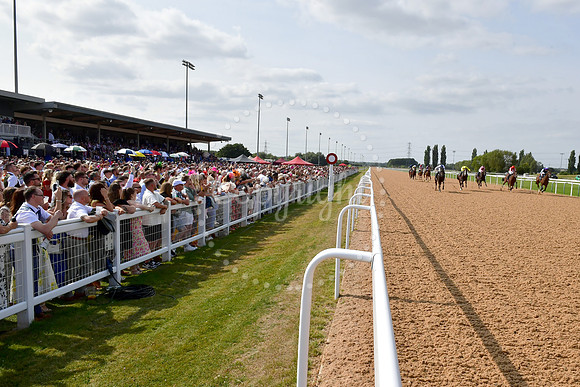 Southwell Racecourse Ladies Day