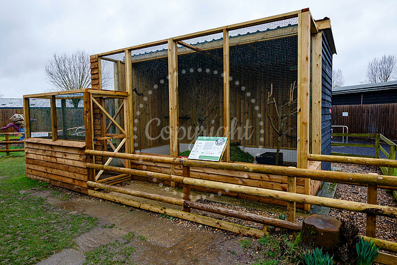 Suffolk Owl Sanctuary