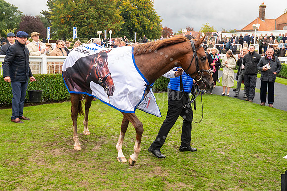 Newmarket Rowley Mile racecourseDubai Future Champions’ weeke