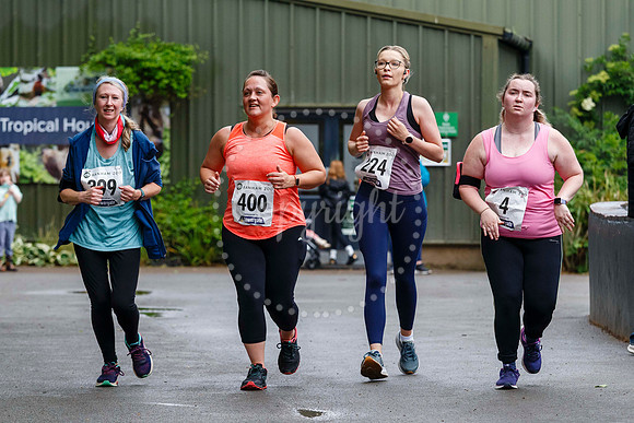 Run Banham Zoo 5K Race