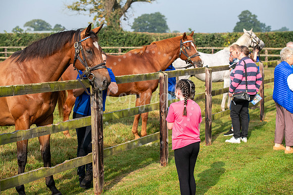 Wood Ditton StudFirst public opening of Godolphin’s retired r
