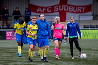AFC Sudbury, Brundon Lane, Sudbury Football - AFC Sudbury hosti