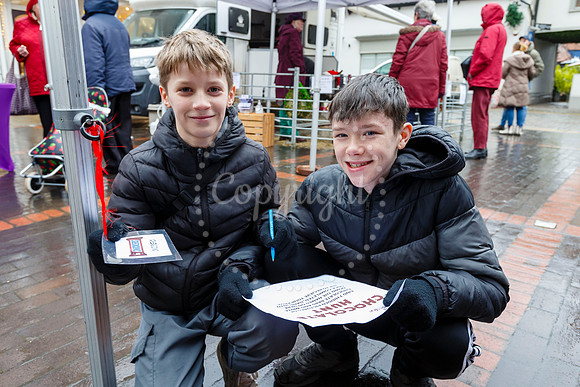 Visit Harleston’s festive day held on the Market Place in the