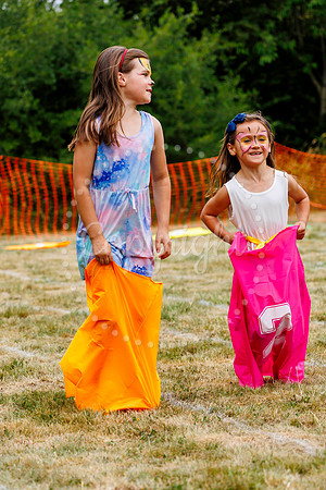 Redlingfield Summer Fayre
