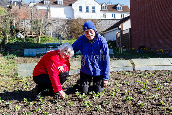 Barclays Bank Allotments