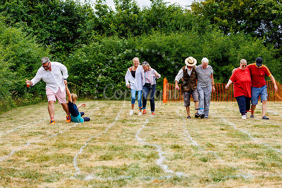 Redlingfield Summer Fayre