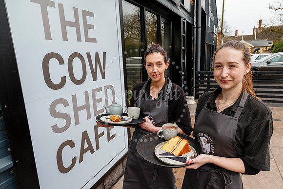 The Cow Shed Cafe in Stuston
