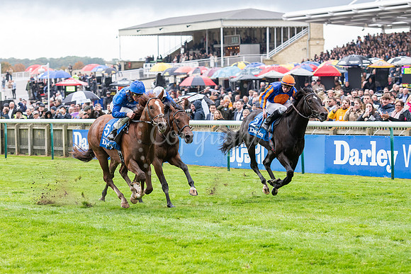 Newmarket Rowley Mile racecourseDubai Future Champions’ weeke