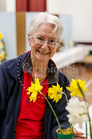 Diss and District Horticultural Society Spring Flower Show