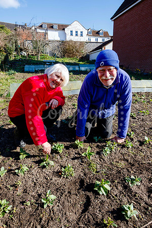 Barclays Bank Allotments