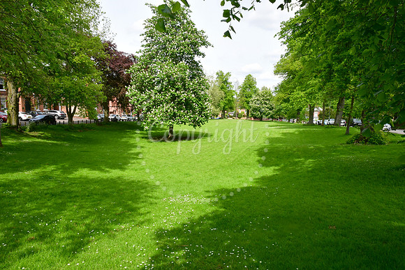 General views of Southwell
