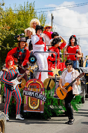 Pulham Market Carnival returns with the theme of 'Kings and Quee