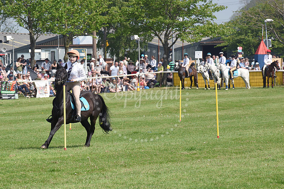 Nottingham County Show
