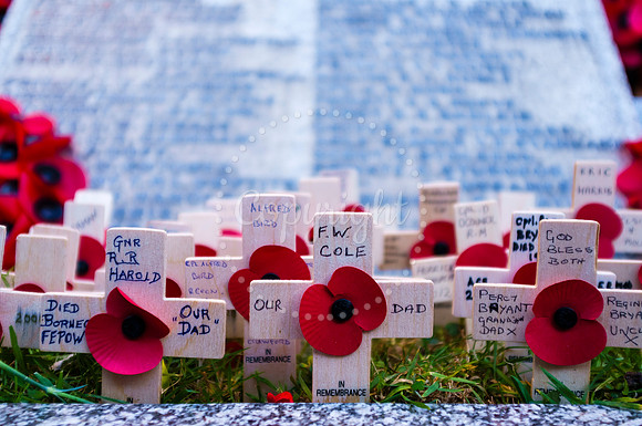 Diss Annual Remembrance Parade and The Royal British Legion Poppy Appeal