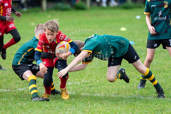 Bury St Edmunds Rugby Club, Southgate Green, Bury St Edmunds Bu