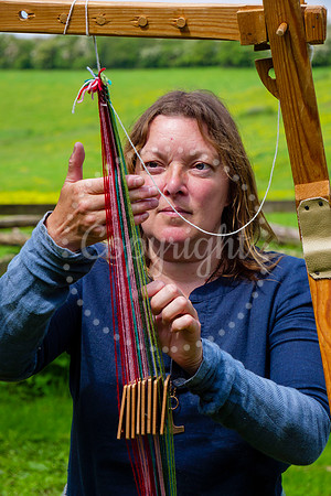 Dove pub is holding a Viking Day with re-enactment group, Jormun