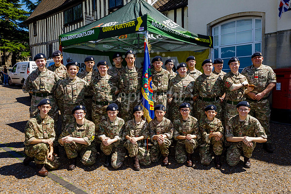 Diss Armed Forces Day