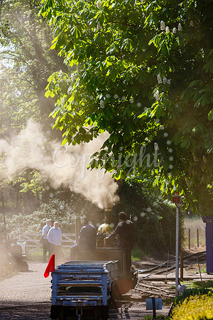 Bressingham Steam Museum annual steam gala