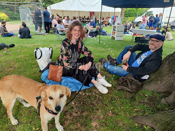 Beer Festival