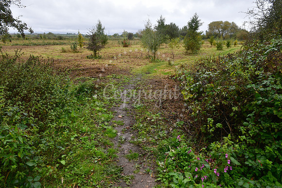 Gunthorpe Nature Reserve, opening