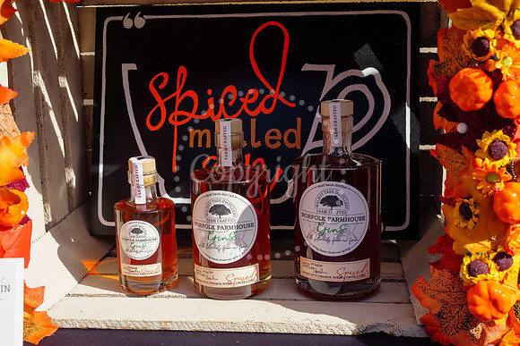 Harleston Food and Drink Festival