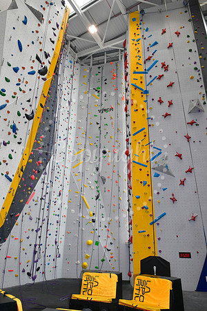 YMCA Olympic Feature
