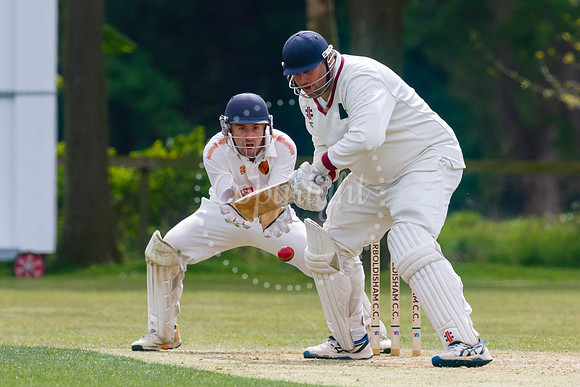 Cricket action from Garboldisham and Diss.