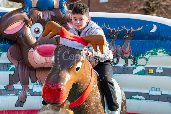 Memorial Hall gardens, NewmarketWinter Wonderland with reindeer