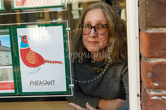 Visit Harleston has organised a Bird Trail around the town