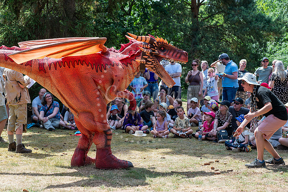 BFP West Stow Anglo Saxon VillageDragon Fest. Picture by Mark W